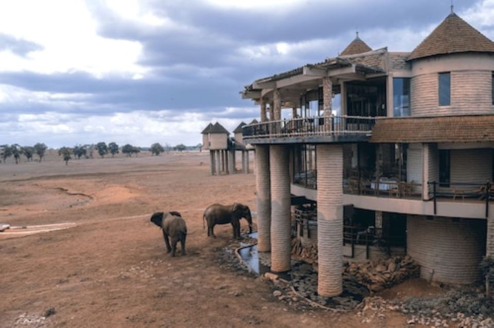 3 Days Safari to Saltlick Lodge From Nairobi - Booking Information