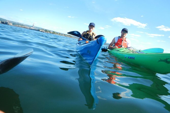 3- Hour Kayak Tour on the Oslofjord - Booking Information