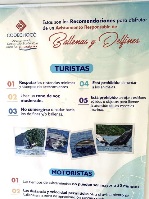 4 Days Adventure; Medellin to Nuqui- Whales!!! - Booking and Cancellation Policies