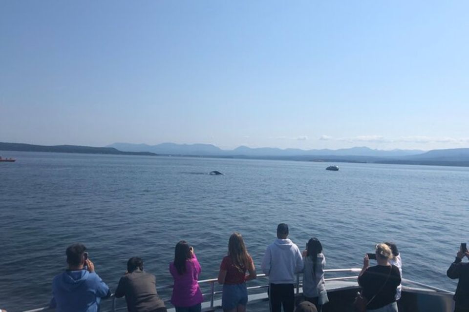 5 Days in Vancouver Multiactivity Adventure Tour - Whale Watching Adventure