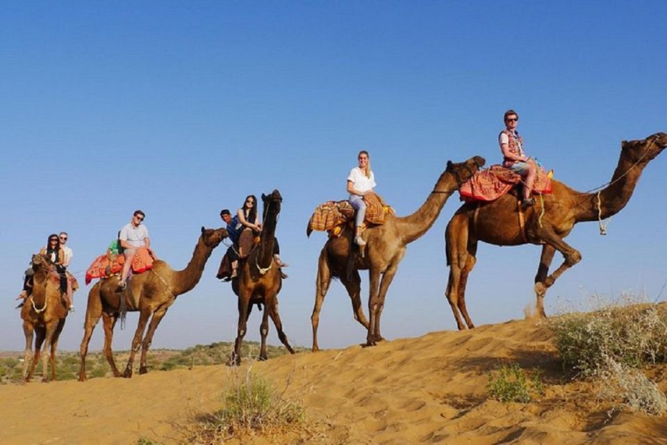 8 - Day Rajasthan Tour, Jaipur, Jodhpur, Jaisalmer & Bikaner - Cultural Insights