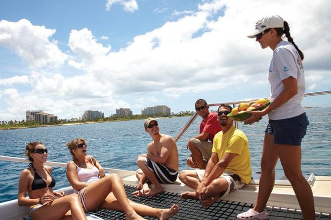 Afternoon Honu Hawaiian Green Sea and Dolphin Snorkel and Sail - Tips for a Great Experience