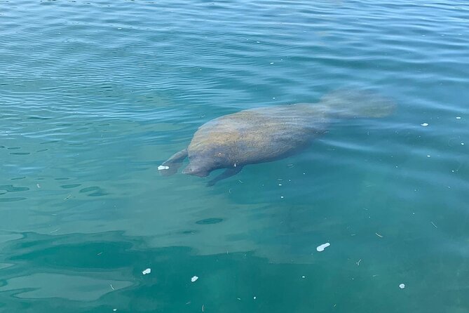 Afternoon Kayak and Paddleboard Tours in Condado Lagoon - Why Choose This Tour