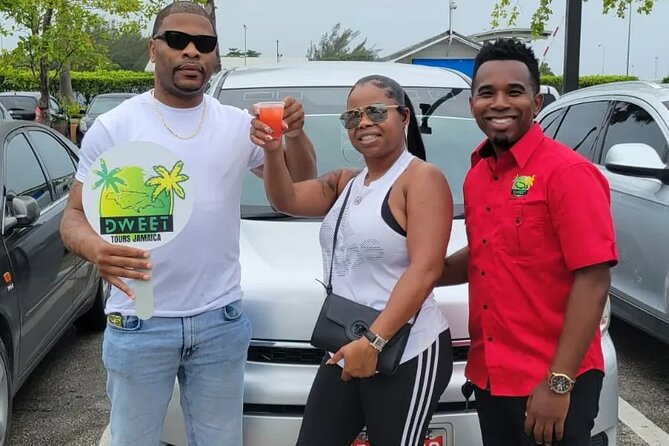 Airport Transfer Montego Bay: Riu Montego / Reggae / Palace - Additional Benefits of Service