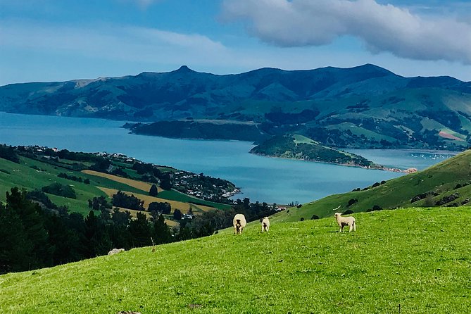 Akaroa Explorer- Guided Electric Bike Tour in Akaroa - Additional Transportation Options