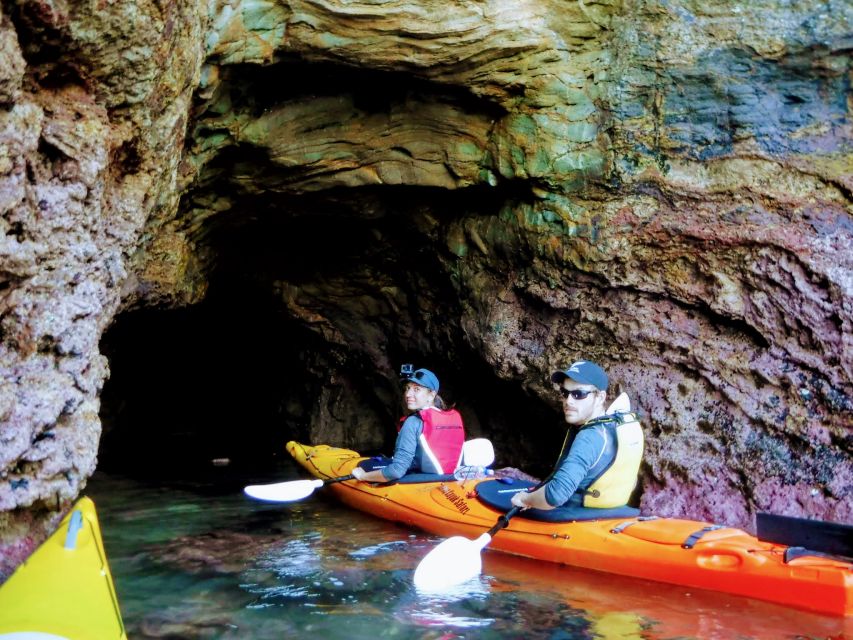 Akaroa: Guided Sea Kayaking Safari at Sunrise - Customer Feedback