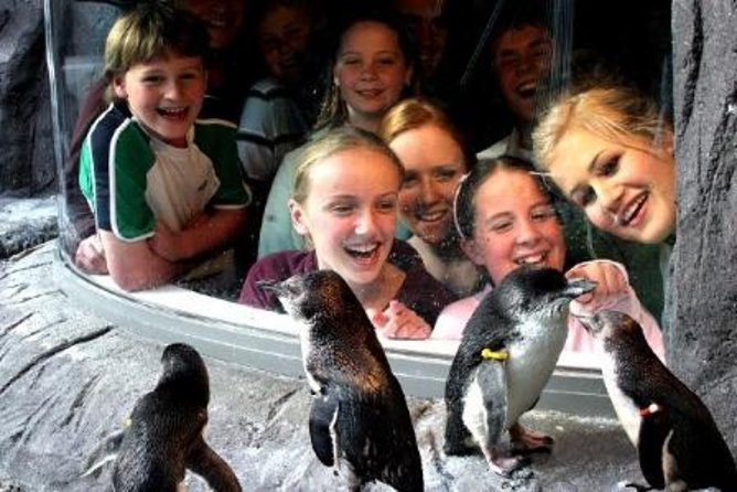 Akaroa Shore Excursion: Banks Peninsula, Christchurch City Tour and the International Antarctic Centre - Additional Information