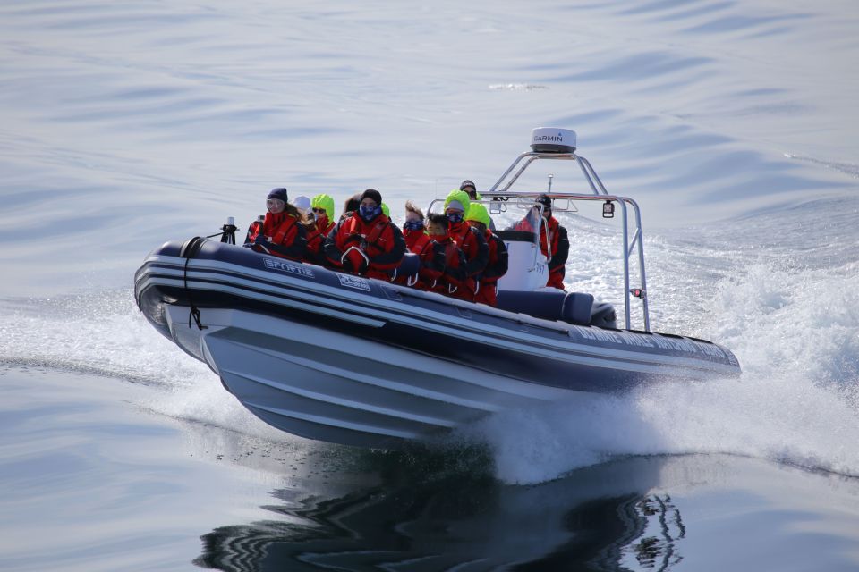 Akureyri: 2–Hour Whale Watching Express by RIB Speedboat - Additional Activities in Akureyri
