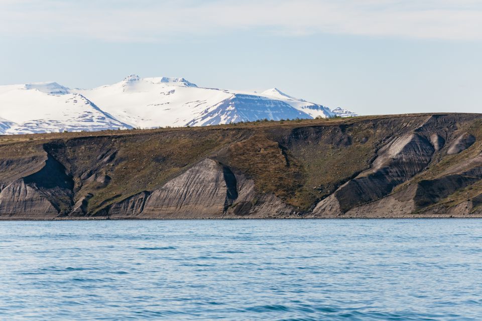 Akureyri: 3-Hour Classic Whale Watching Tour - Frequently Asked Questions