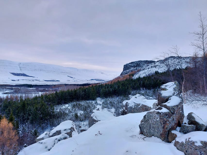Akureyri: Snowshoeing With the Traveling Viking - Testimonials From Previous Guests