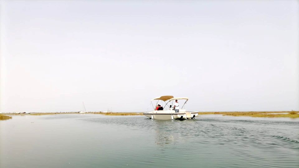 Algarve: Eco Boat Tour in the Ria Formosa Lagoon From Faro - Booking Your Adventure