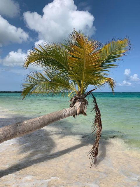 All Inclusive Saona Island Experience From Punta Cana - What to Expect