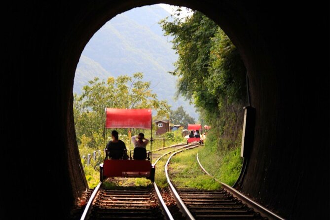 Alpaca World and Nami Island With Gangchon Rail Bike Tour - Traveler Reviews and Tips