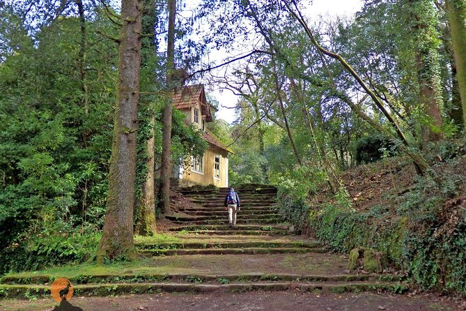 An Adventure Through the Forest and Palace of Bussaco - Coimbra - Tips for Your Visit