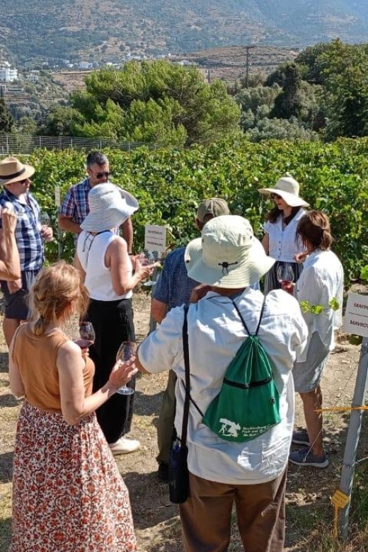 Andros Wine Tasting & Pythara Waterfalls Half-Day Tour - Customer Feedback