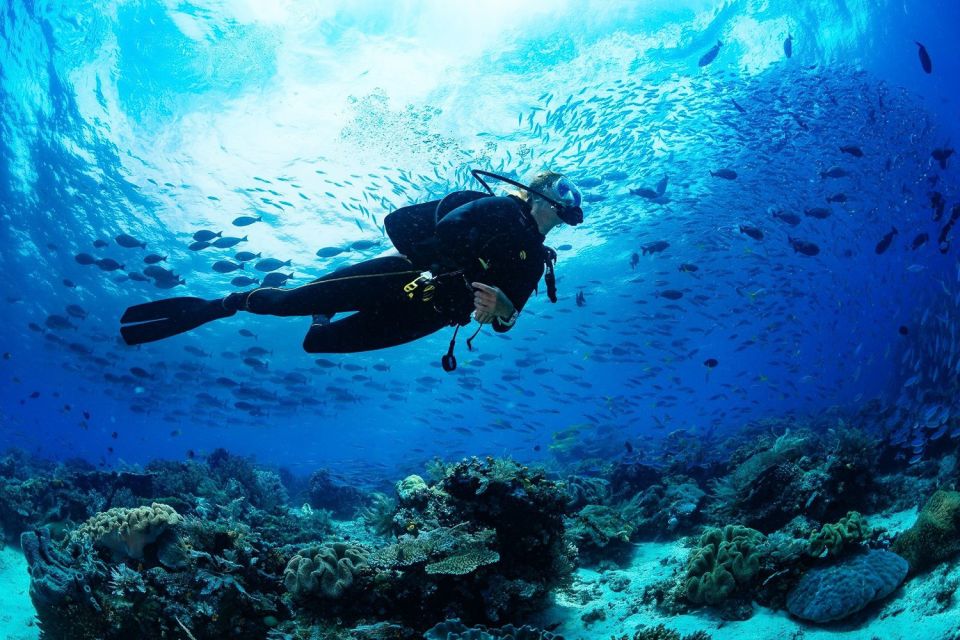 Antalya/Kemer: 2 Dives Scuba Diving Trip With Lunch - Cancellation Policy