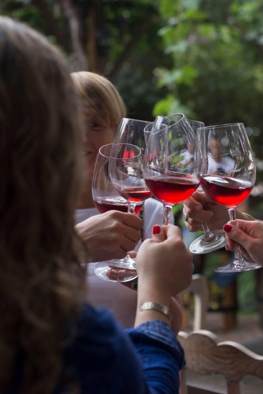 Argentine Asado + Visit 2 Wineries + Transportation Included - Tips for Enjoying Your Tour
