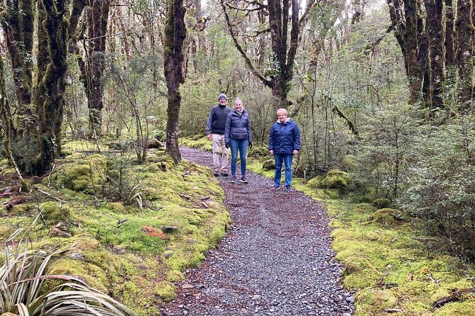 Arthurs Pass and Tranzalpine Train Day Tour From Christchurch - What to Expect