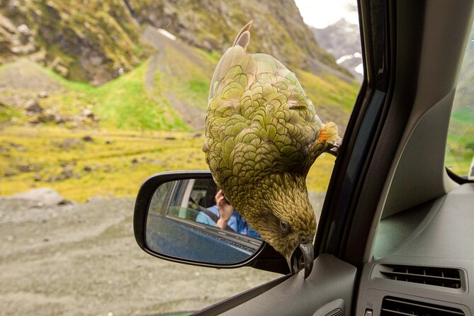 Arthurs Pass Day Trip From Christchurch via Castle Hill - Tips for a Perfect Trip