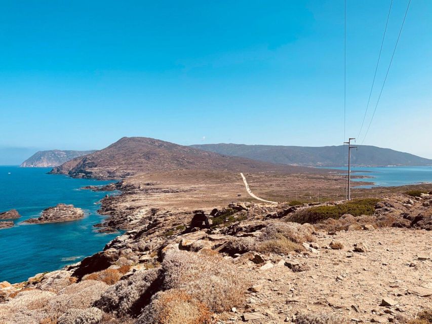 Asinara National Park: Full Day Off-Road Tour - Customer Reviews and Feedback