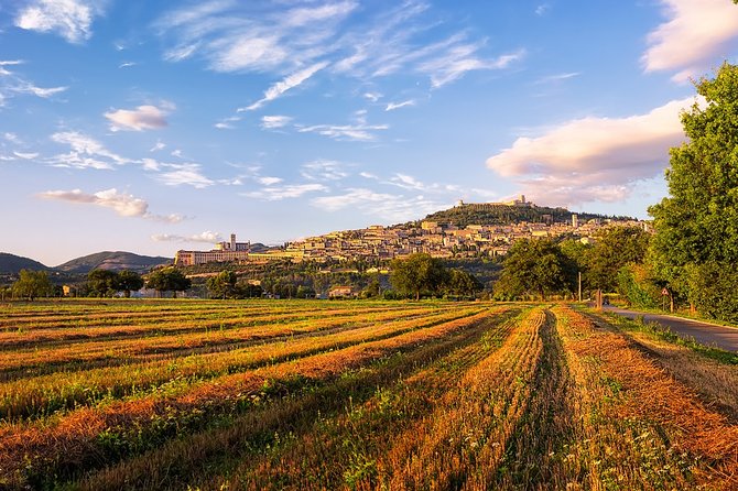 Assisi Best Highlights a Private Tour With Licensed Tour Guide - Customer Reviews and Feedback
