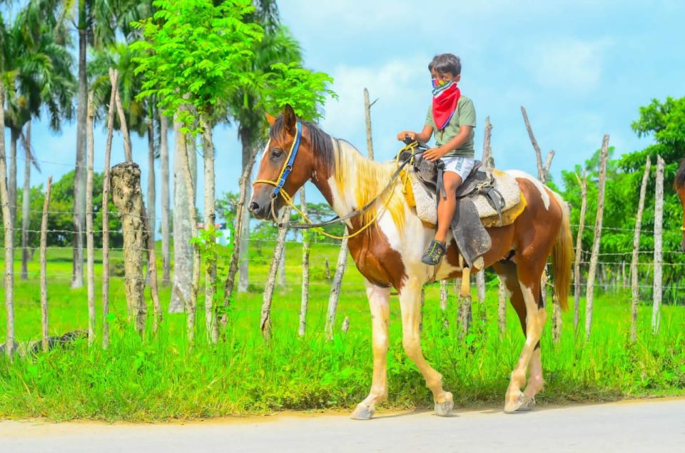 ATV Ride Cenote, Chocolate, Coffee Tasting & Horse Back Ride - Additional Information