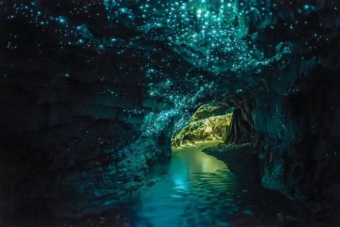 Auckland to Rotorua via Waitomo Caves Small Group Tour (One Way) - Optional Activities