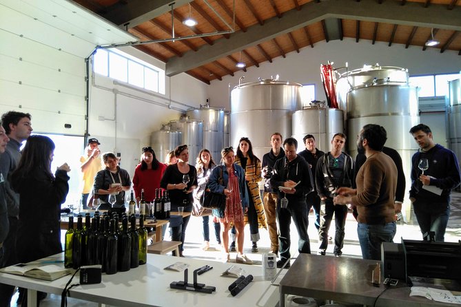 Authentic Experience in Organic Winery - Tips for Your Visit