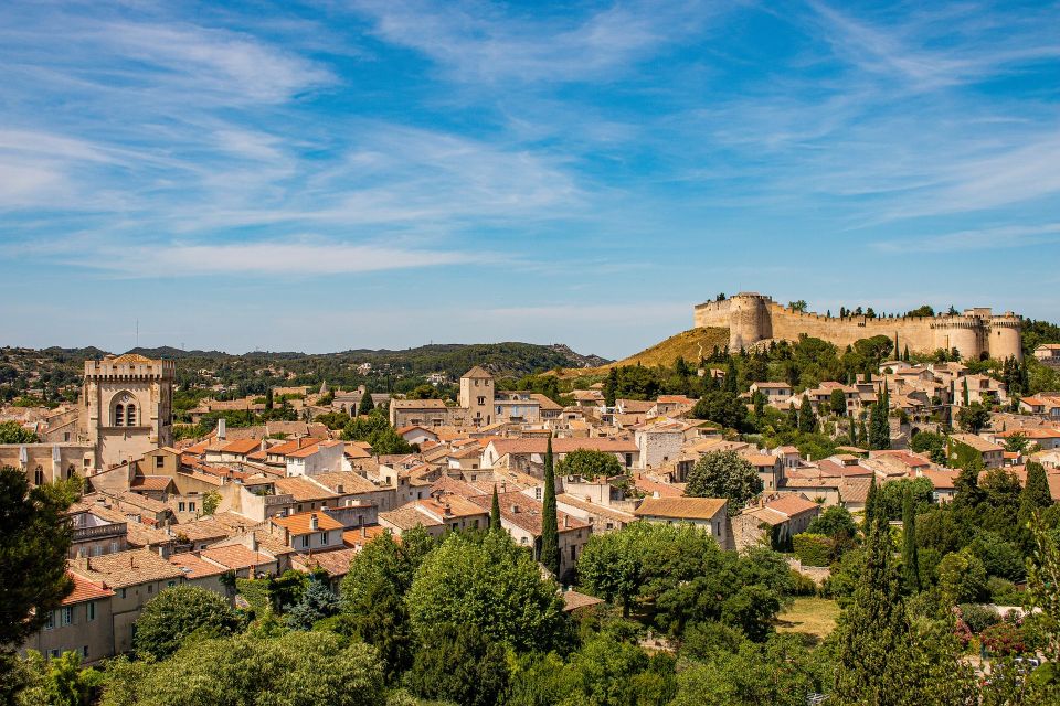 Avignon Private Guided Tour and Wine Tastings From Marseille - Booking Information and Policies