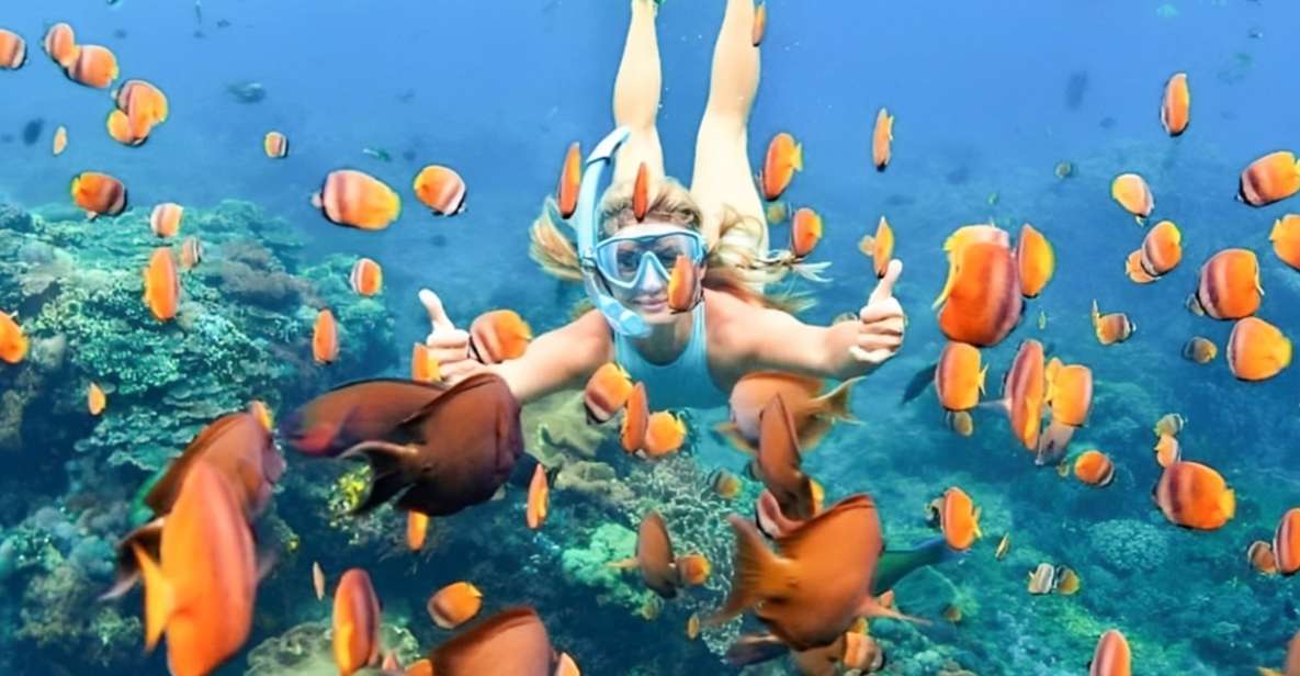 Bali: Blue Lagoon Beach Snorkeling Tour With Lunch - Explore Marine Life