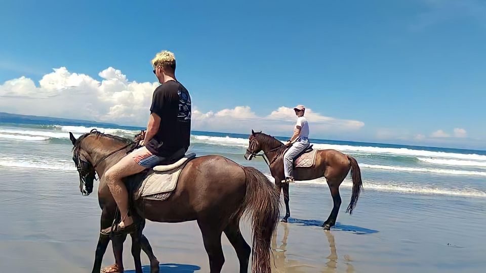 Bali: Horse Riding Tour on Seminyak Beach Include Transport - Additional Information