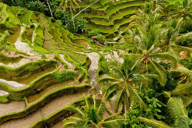 Bali Instagram Private-Tour: Selection of the Best Spots - Tips for a Perfect Experience