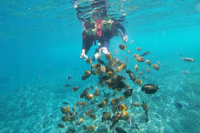 Bali Private Snorkeling (Manta, Sea Cucumber, Crystal) and Nusa Penida Tour - Guest Reviews and Ratings