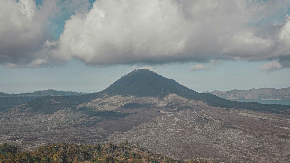 Bali Volkswagen Safari and Kintamani Volcano Tour - Tegalalang Rice Terrace