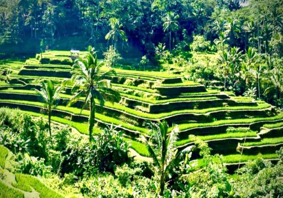 Bali:Private Guided Customizable Full-Day Tours - Beaches & Kecak Fire Dance