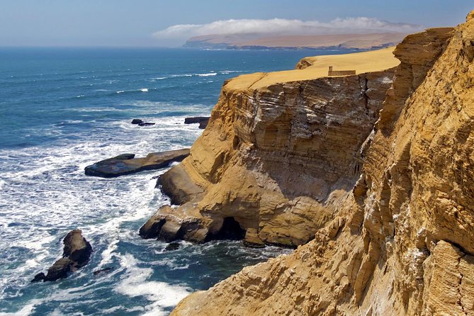 Ballestas Islands and Paracas Reserve From San Martin Port - Cancellation Policy