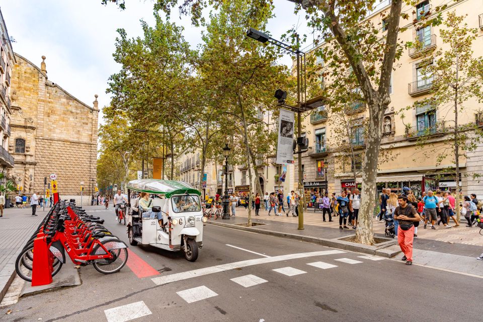 Barcelona: Private City Tour by Eco Tuk Tuk - Meeting Point and Restrictions