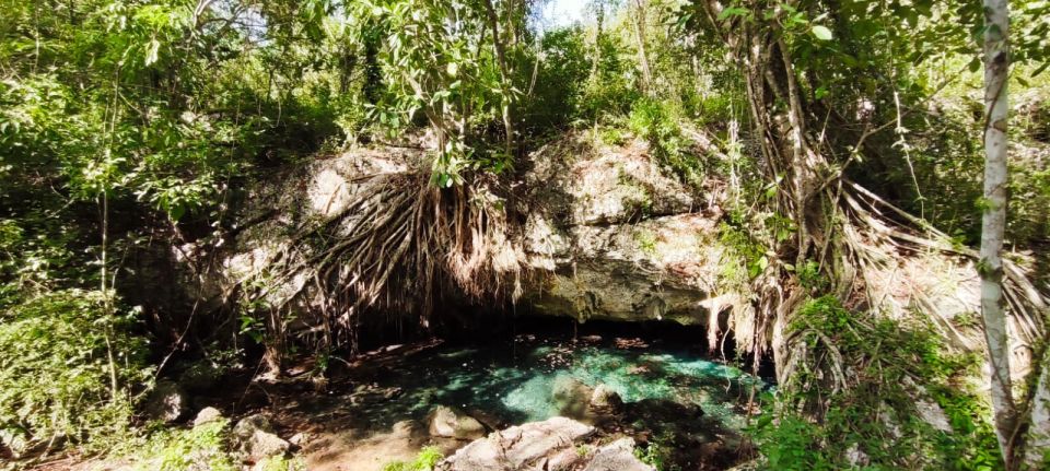 Bayahibe: National Park Jungle Walk & Snorkeling in Cenotes - Frequently Asked Questions