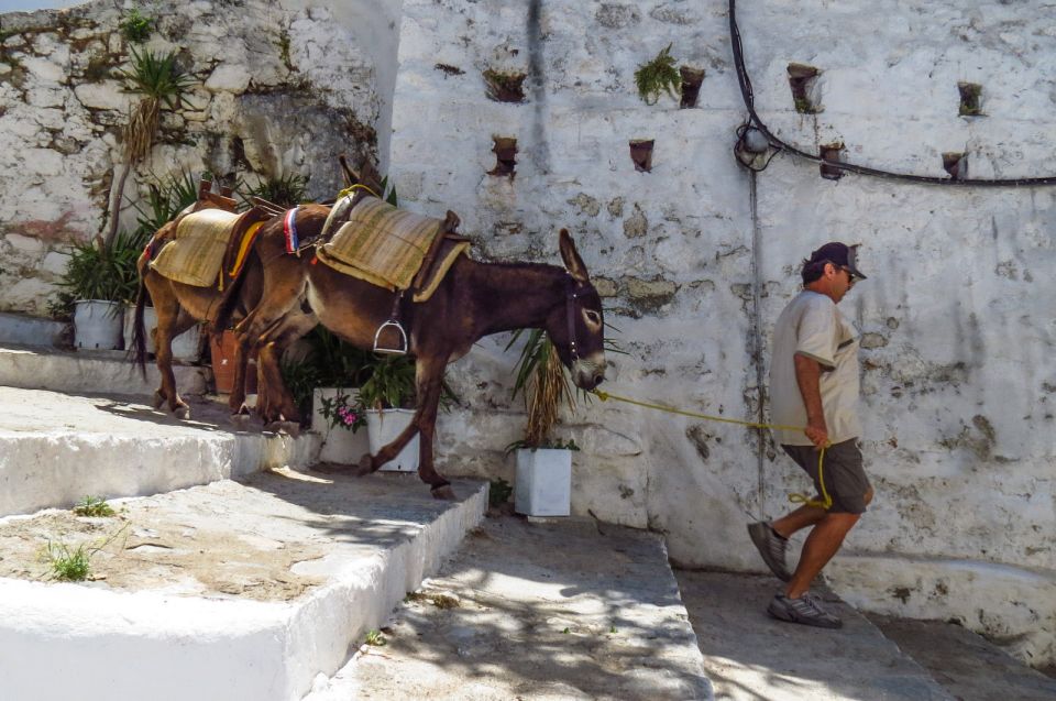 Best of Rhodes and Lindos Private Tour - Small Group - Tips for Travelers