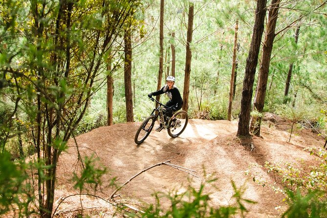 Bike Hire at the Waitangi Mountain Bike Park - Local Attractions and Nearby Activities