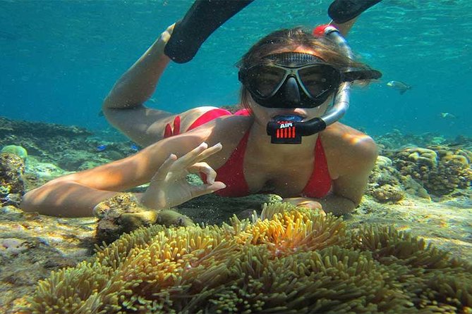 Blue Lagoon Bali Snorkeling Activities All Inclusive - Lunch and Facilities