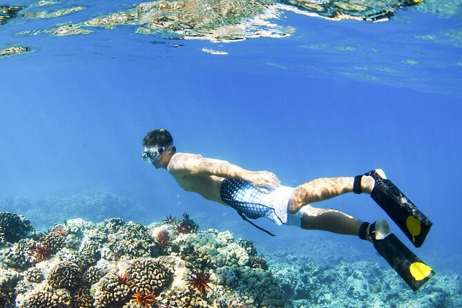 Blue Lagoon Snorkeling and Lunch With Private Transfer - Local Culture and Dining Experience