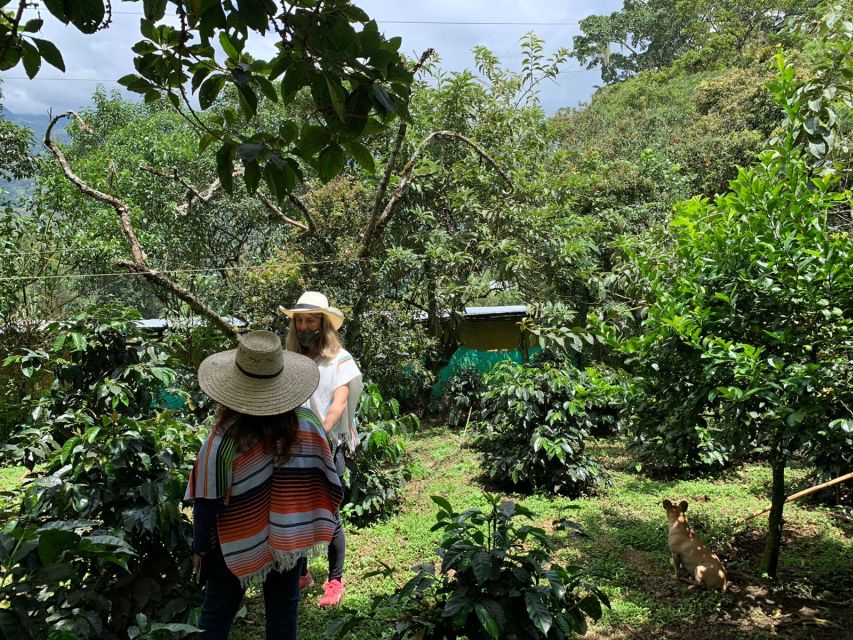 Bogotá: Guided 5-Hour Coffee Farm Tour - Frequently Asked Questions