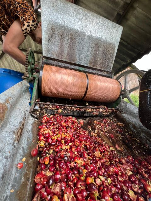 Bogota: Private Coffee Tour in Silvania - Coffee Farm - Frequently Asked Questions