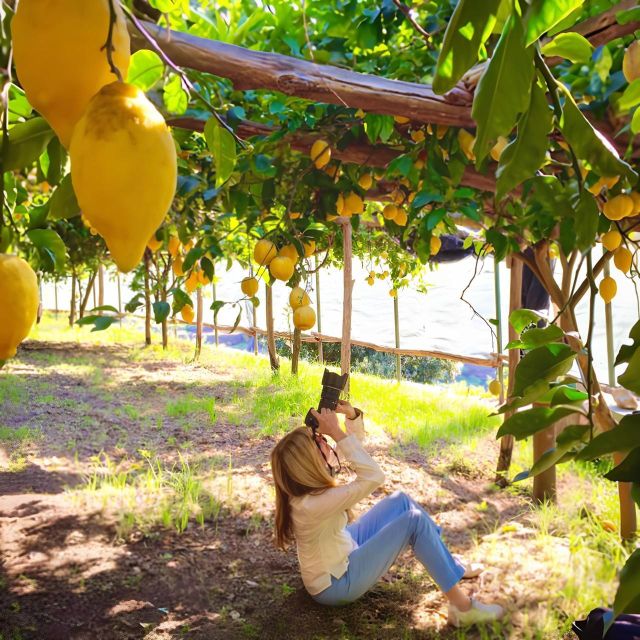 Botanic Naturalistic Lemon Tour & Tasting - Tasting Experience