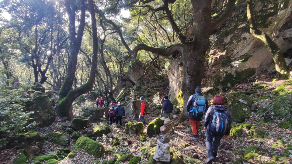 Bruncu Casteddu: Hiking Guided Tour Near Ulassai Village - Booking Information