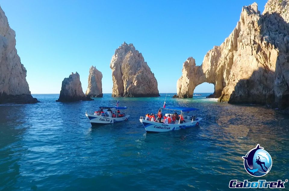 Cabo Ocean SAFARI - Guided by a Marine Biologist