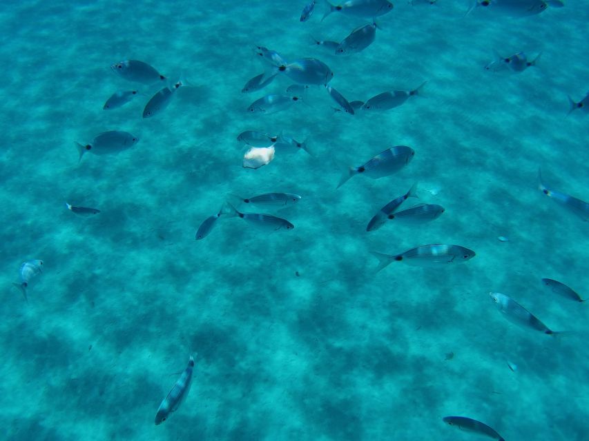 Cagliari: Amazing Boat Tour From Malfatano - Local Tips and Recommendations