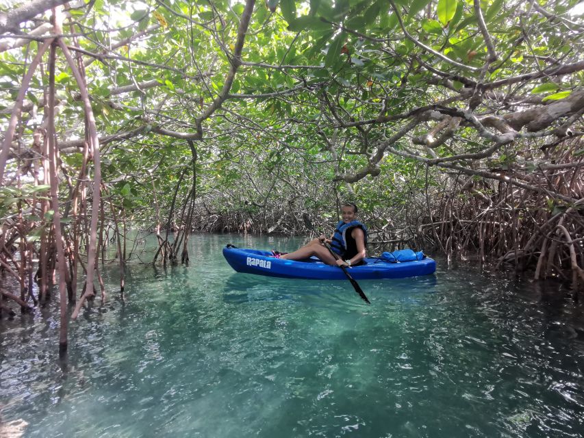 Cancun: 3-Hour Kayak Tour in Nichupte Lagoon - Taking in the Natural Scenery