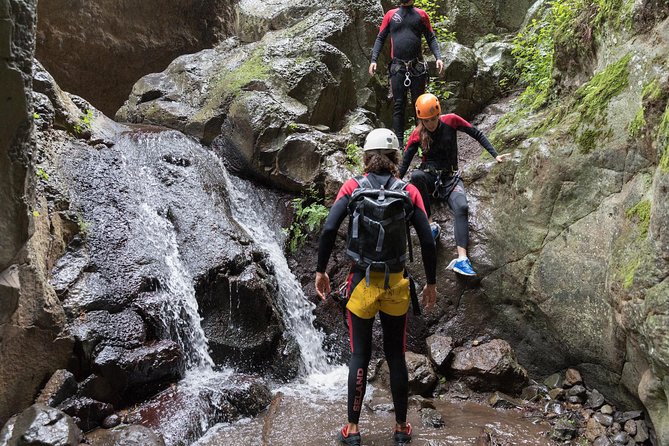 Canyoning With Waterfalls in the Rainforest - Small Groups - Expert Guidance